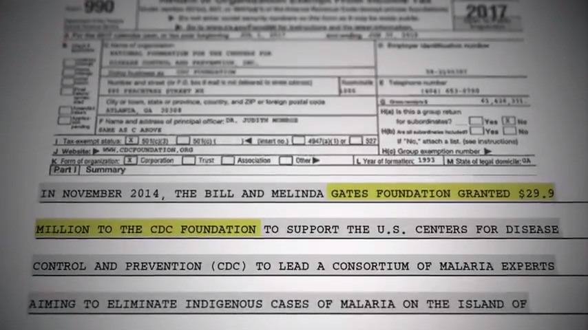 Form 990 2017 open to public Inspection in November 2014, the Bill and Melinda Gates Foundation granted $29.9 million to the cdc foundation Screenshot From The Plandemic InDoctorNation Documentary Film