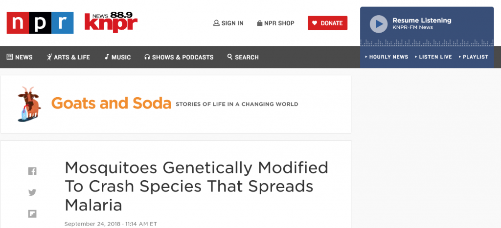 Mosquitoes Genetically Modified To Crash Species That Spreads Malaria Screenshot From The Web Courtesy npr.org Accessed 9-2-2021 22:16